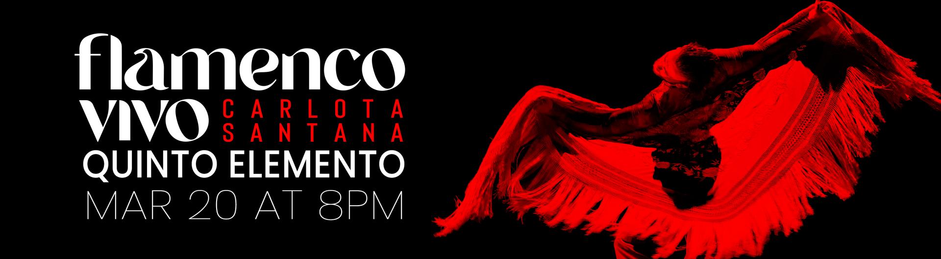 A dancer with an outspread shawl as seen from above next to the flamenco vivo logo